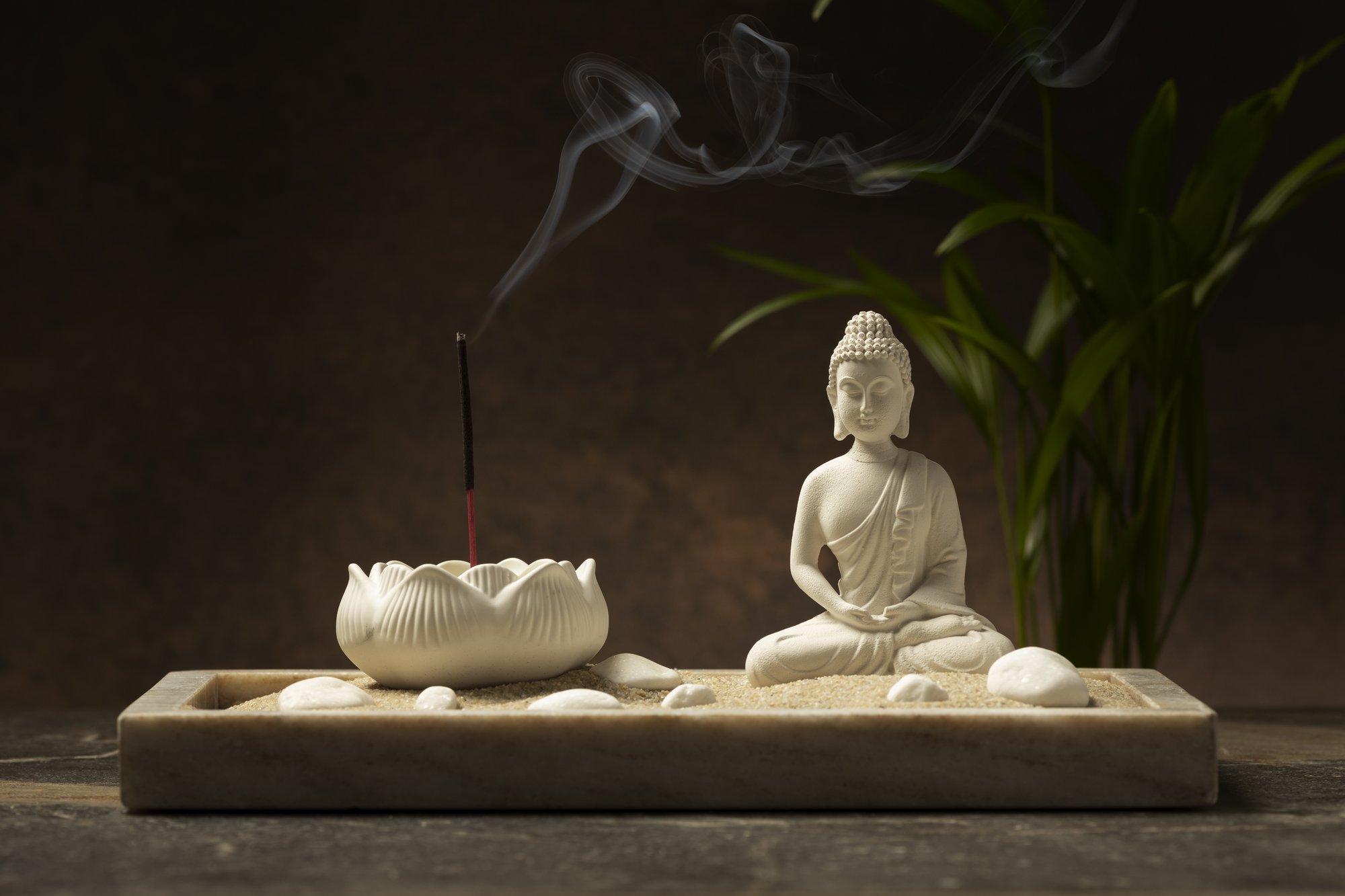 view-buddha-statuette-with-incense-2